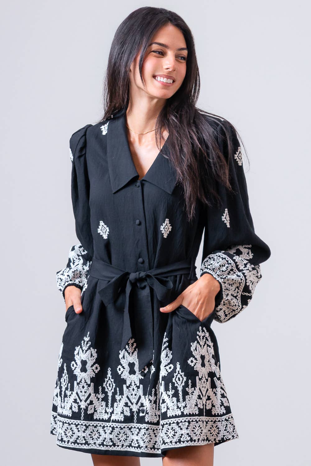 Chic Embroidered Long Sleeve Mini Dress for Elegance